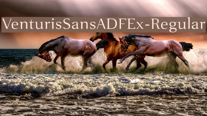 VenturisSansADFEx-Regular Font examples