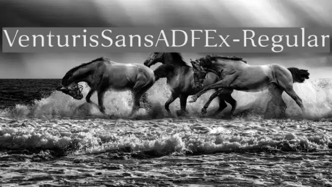 VenturisSansADFEx-Regular  examples