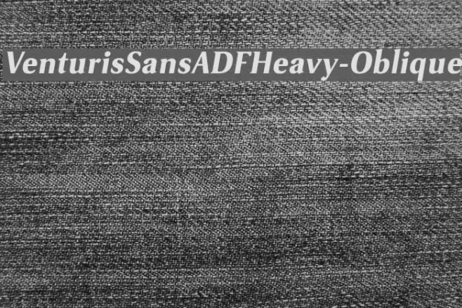 VenturisSansADFHeavy-Oblique Font examples