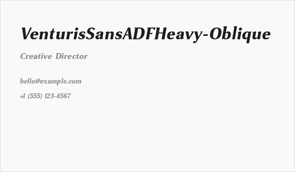 VenturisSansADFHeavy-Oblique Business Card