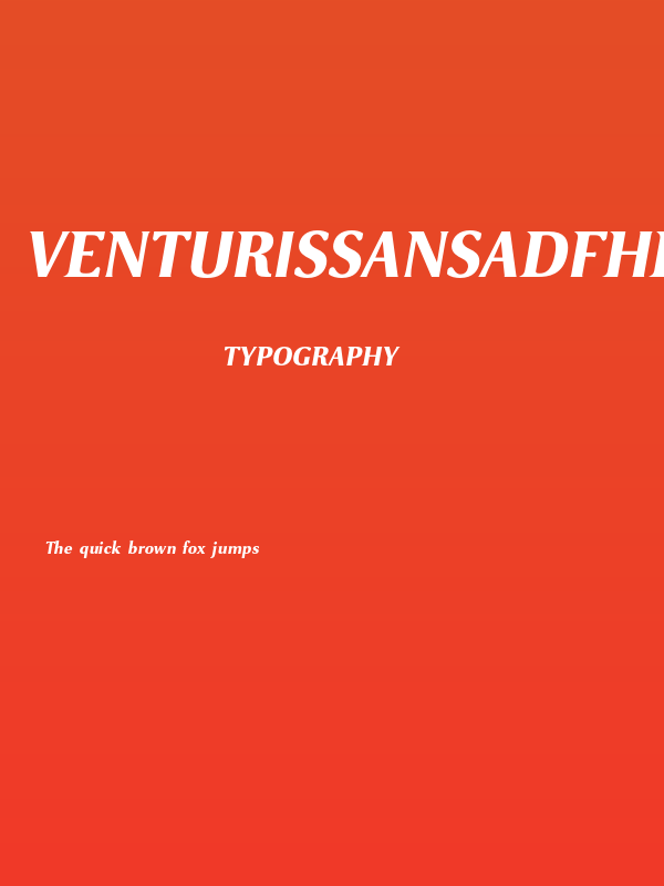 VenturisSansADFHeavy-Oblique Poster