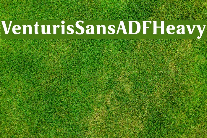 VenturisSansADFHeavy Font examples