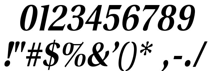 VenturisSansADFLt-BoldItalic Font OTHER CHARS
