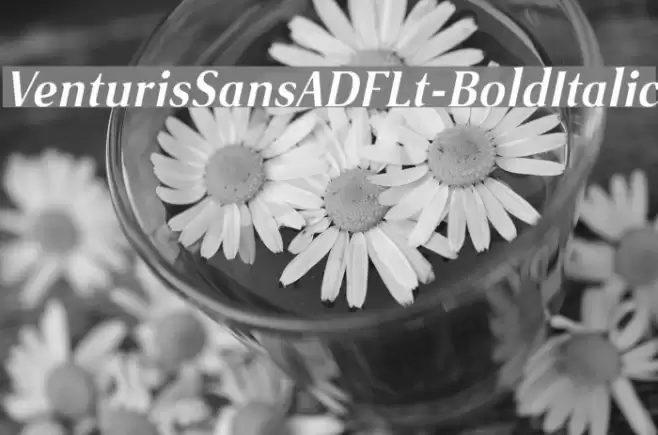 VenturisSansADFLt-BoldItalic Font examples