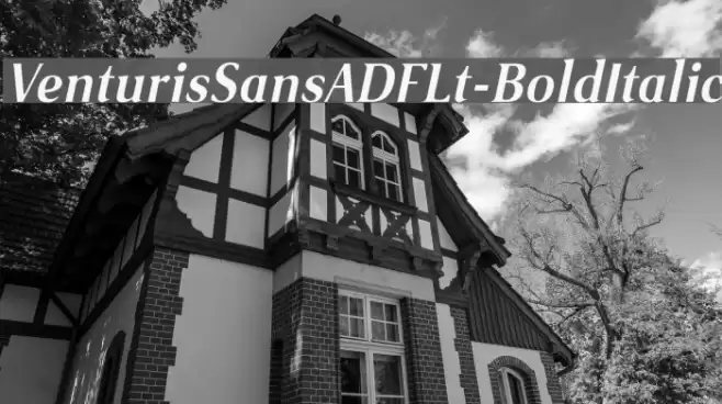 VenturisSansADFLt-BoldItalic Font examples