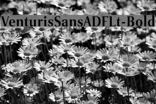 VenturisSansADFLt-Bold Font examples