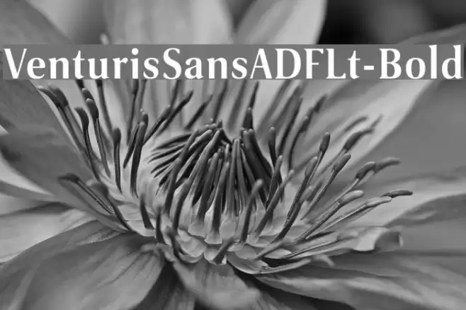 VenturisSansADFLt-Bold Font examples