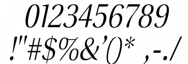 VenturisSansADFLt-Italic Font OTHER CHARS
