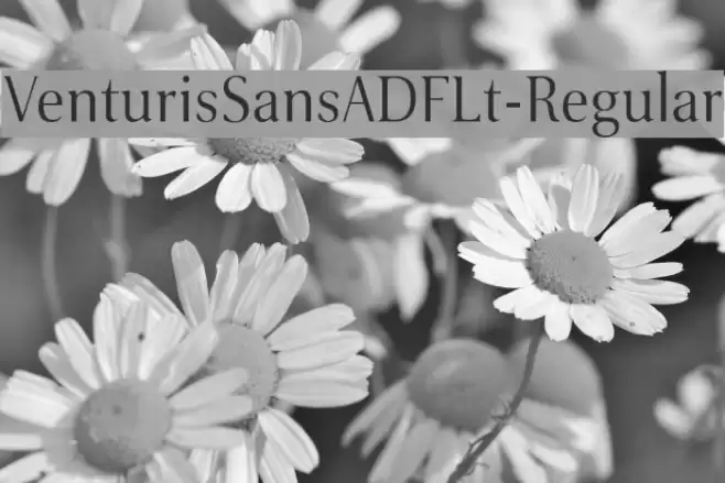 VenturisSansADFLt-Regular Font examples