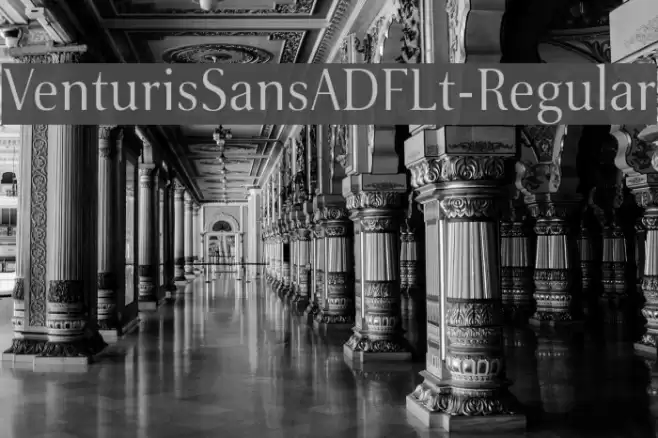 VenturisSansADFLt-Regular Font examples