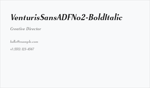 VenturisSansADFNo2-BoldItalic Business Card