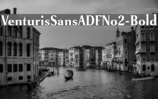 VenturisSansADFNo2-Bold Font examples
