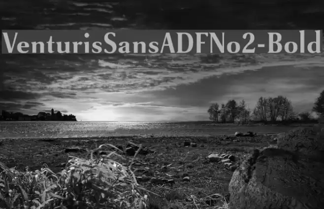 VenturisSansADFNo2-Bold Font examples