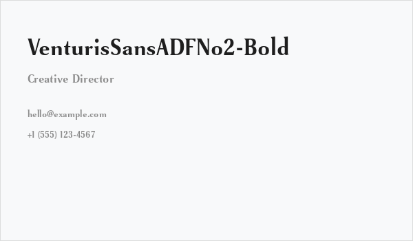 VenturisSansADFNo2-Bold Business Card