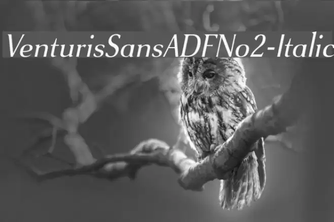 VenturisSansADFNo2-Italic Шрифта examples