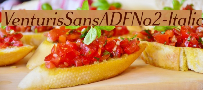 VenturisSansADFNo2-Italic Шрифта examples