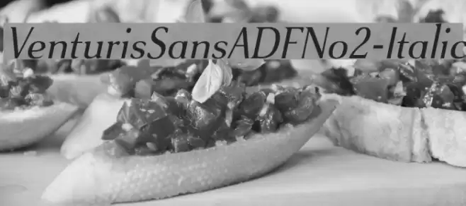 VenturisSansADFNo2-Italic Шрифта examples