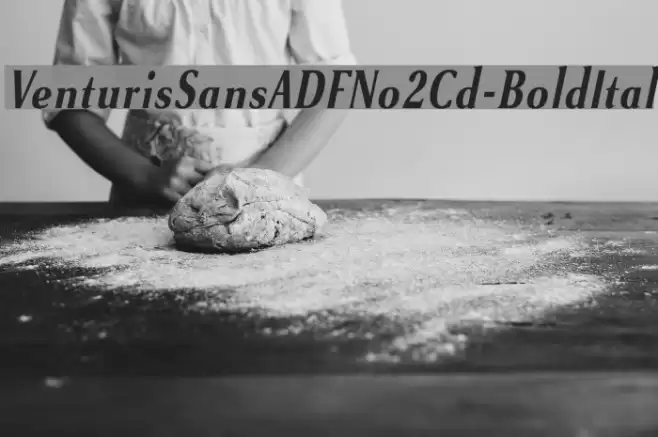 VenturisSansADFNo2Cd-BoldItal Font examples