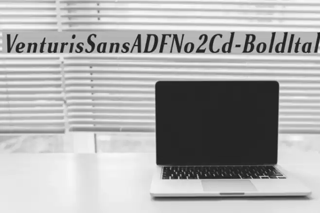 VenturisSansADFNo2Cd-BoldItal Font examples