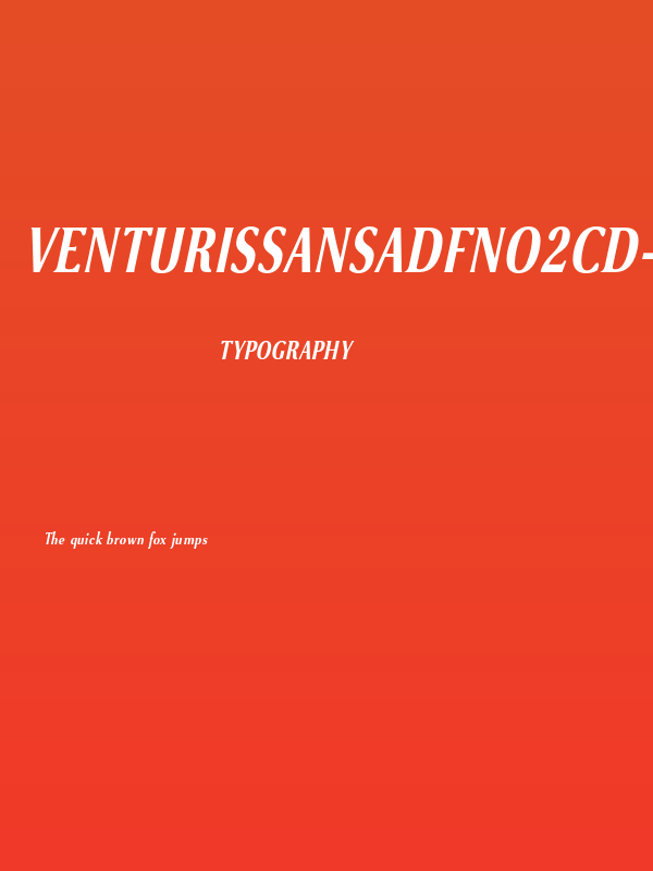 VenturisSansADFNo2Cd-BoldItal Poster