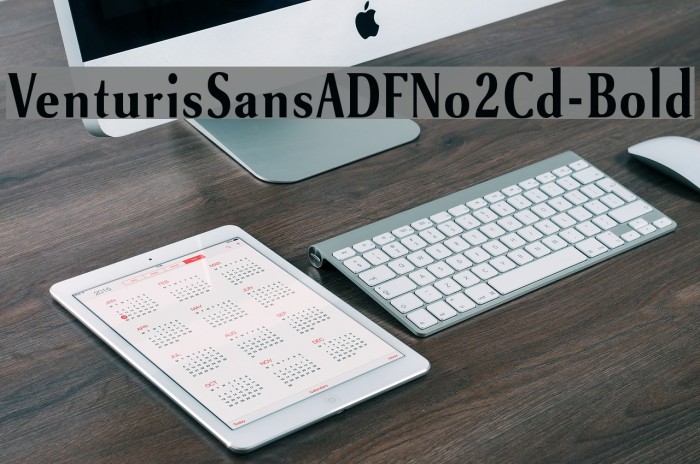VenturisSansADFNo2Cd-Bold Font examples