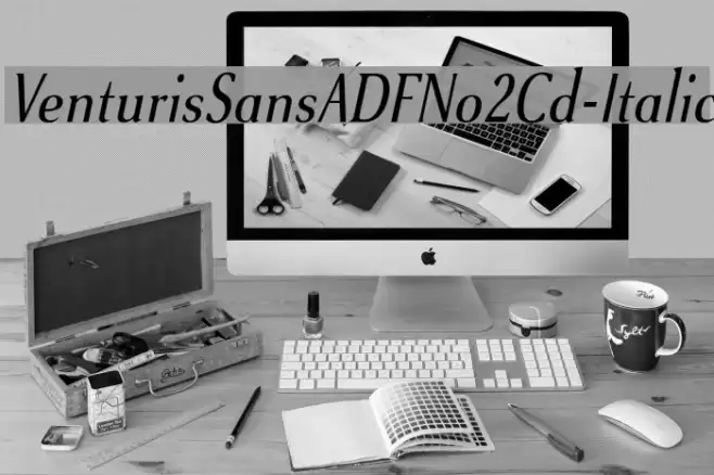 VenturisSansADFNo2Cd-Italic Font examples