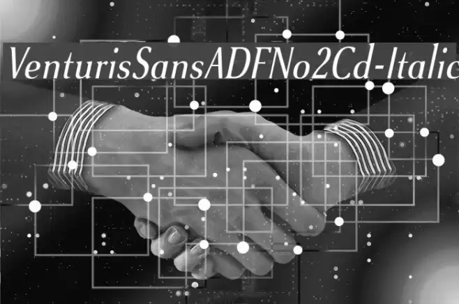 VenturisSansADFNo2Cd-Italic Font examples
