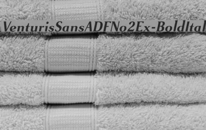 VenturisSansADFNo2Ex-BoldItal Font examples