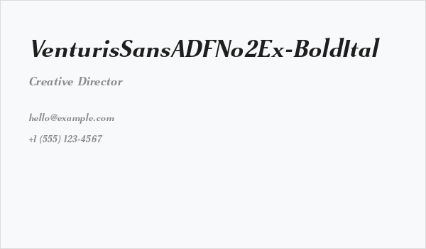 VenturisSansADFNo2Ex-BoldItal Business Card
