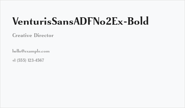 VenturisSansADFNo2Ex-Bold Business Card