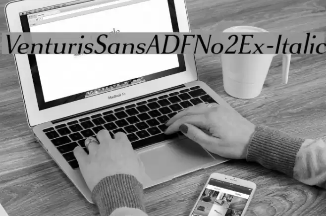 VenturisSansADFNo2Ex-Italic Fuentes examples