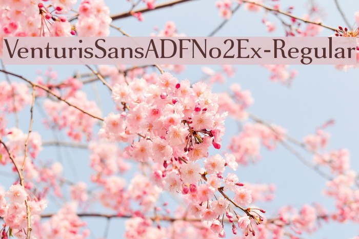 VenturisSansADFNo2Ex-Regular Font examples