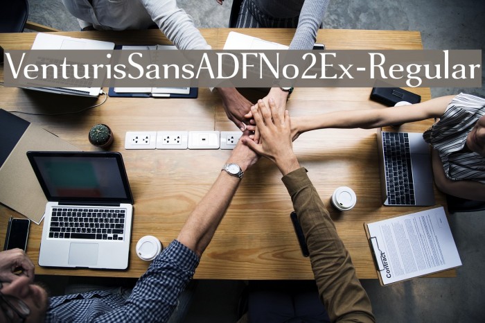 VenturisSansADFNo2Ex-Regular Font examples
