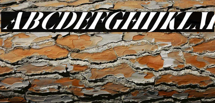 Ventus Italic Example 2