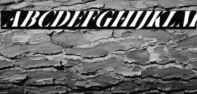 Ventus Italic Font examples