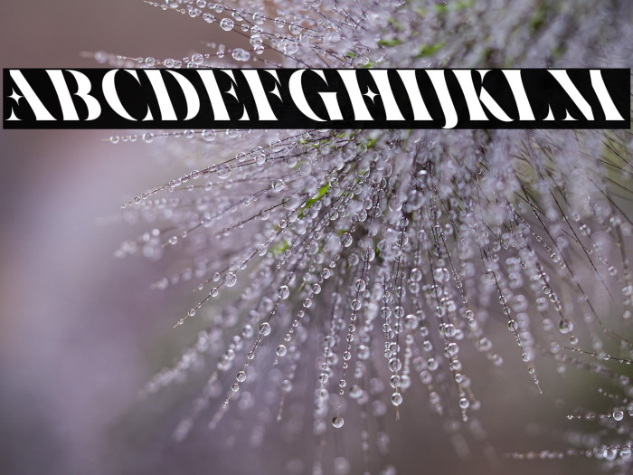 Ventus Oblique Example 3