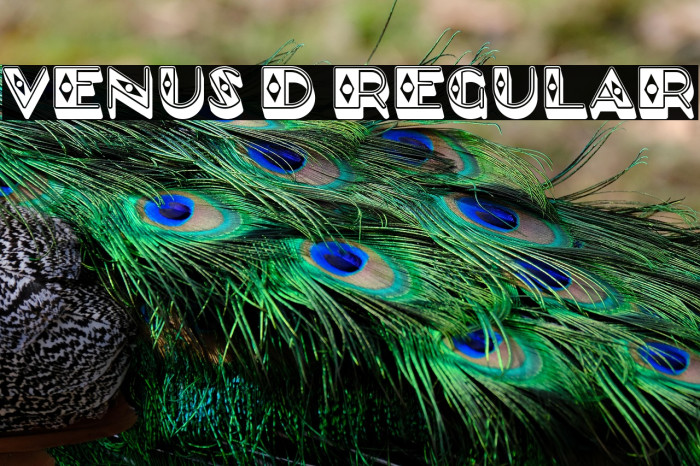 Venus 3D Regular Example 1