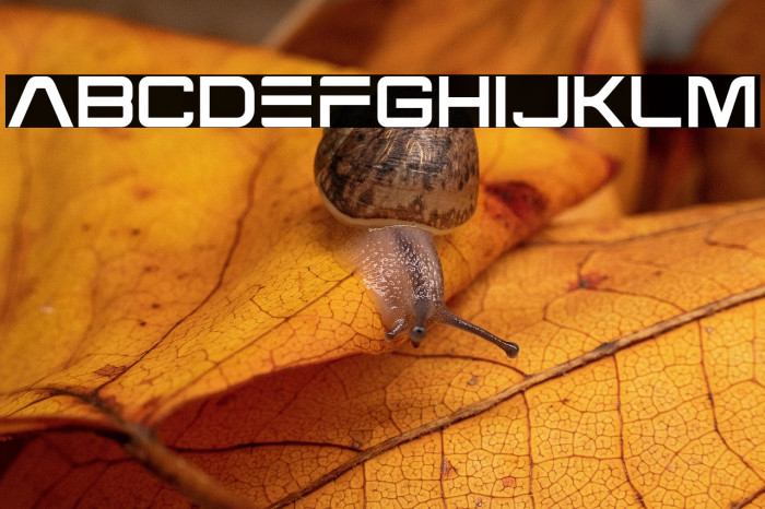 Venus Plant Example 3