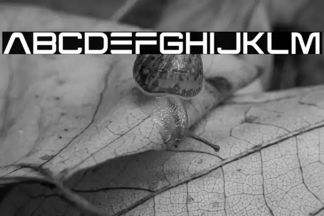 Venus Plant Caratteri examples