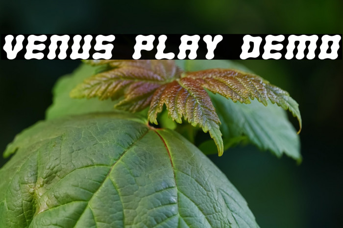 Venus Play Demo Example 3