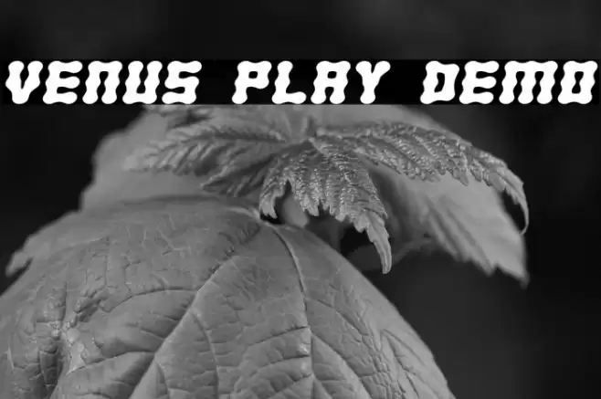 Venus Play Demo Caratteri examples