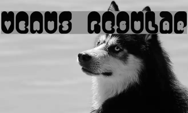 Venus Regular Font examples