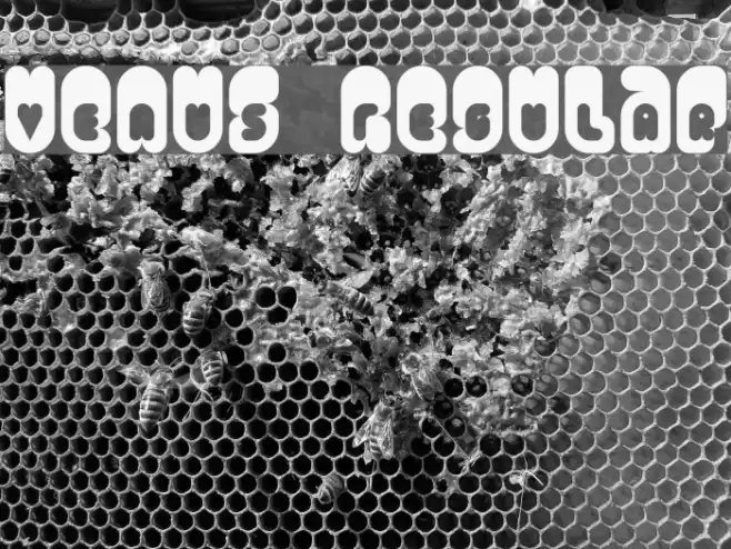 Venus Regular Font examples