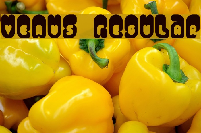 Venus Regular Font examples