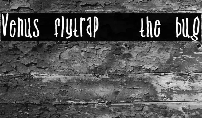 Venus flytrap   the bug Font examples