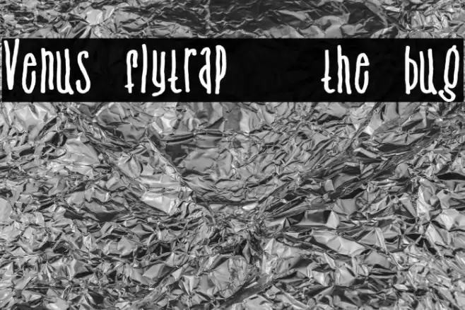 Venus flytrap   the bug Font examples