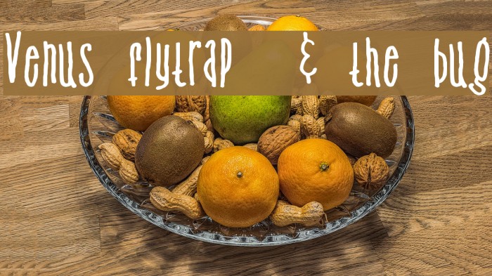 Venus flytrap & the bug Font examples