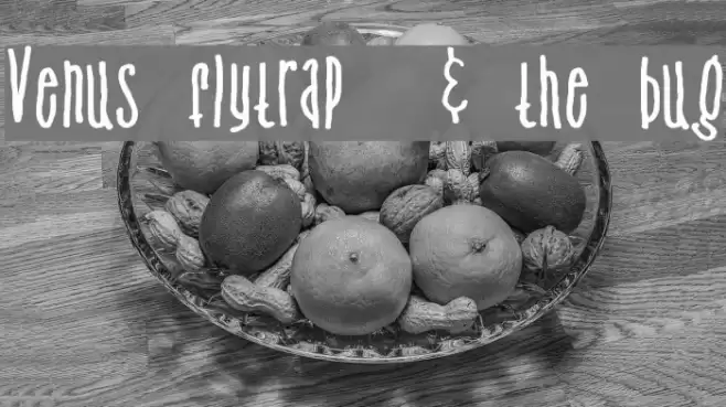 Venus flytrap  & the bug Font examples