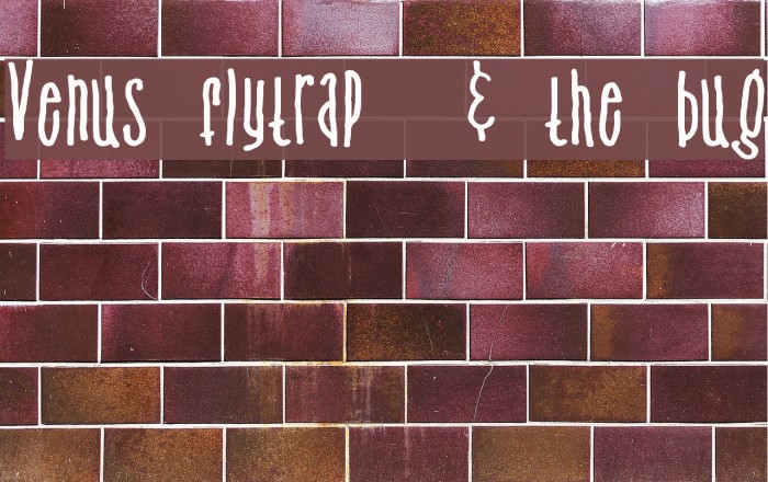Venus flytrap & the bug Font examples