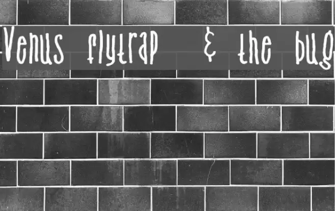Venus flytrap  & the bug Font examples